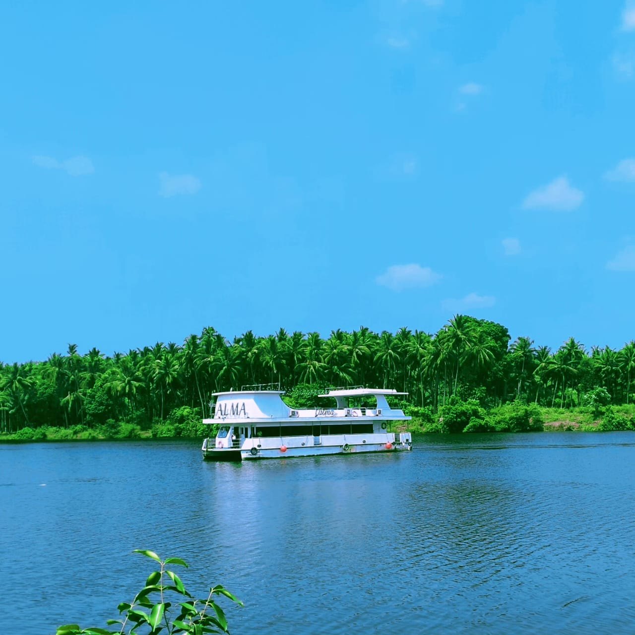 Calma Cruise sailing past palm-lined banks in Goa
